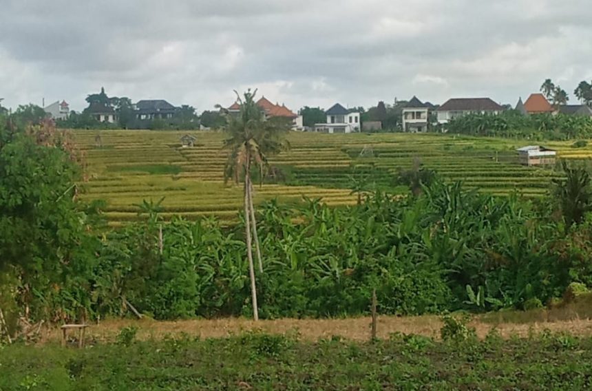 For Sale Land in Canggu – Yellow Zone Ready to Build